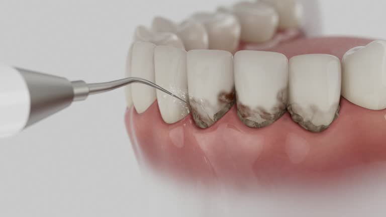 Reliable Dental contractor in Rose Hill, VA by Dentist Open Now